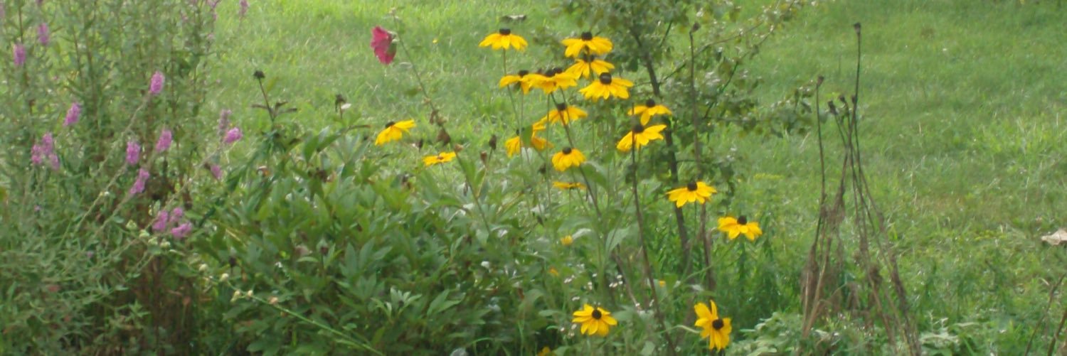 JenWeck1's profile banner image