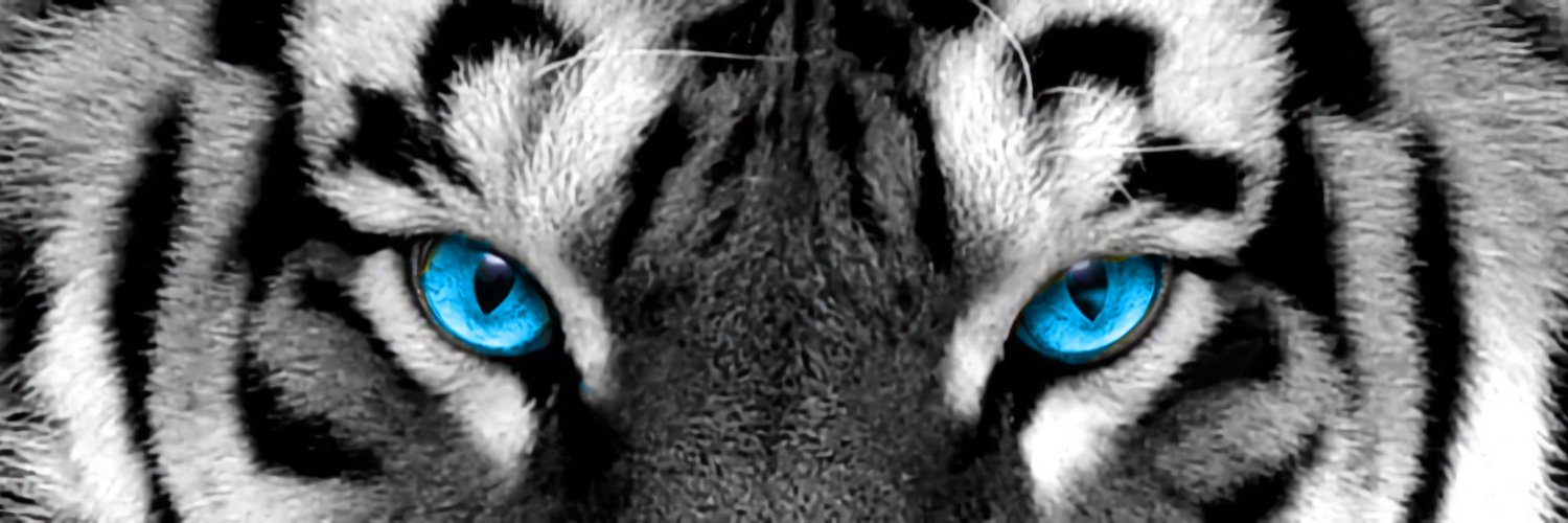 AngelsMoonBeam's profile banner image