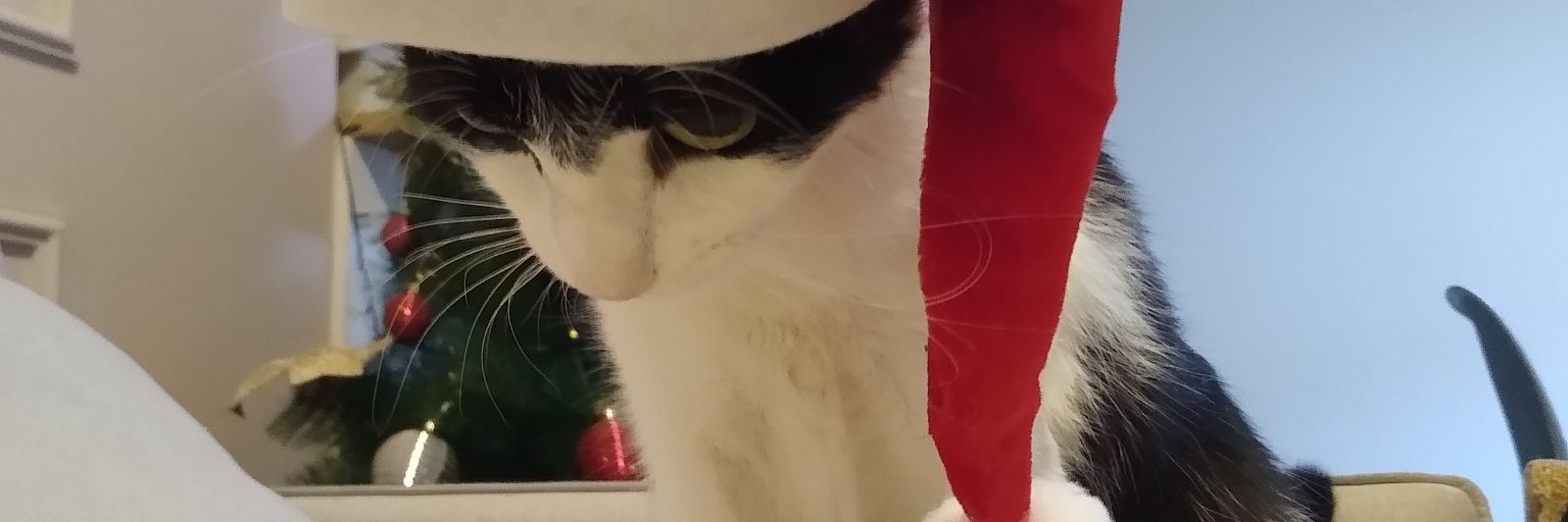 gabrielrapiso's profile banner image