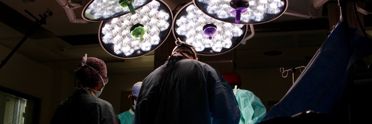 TransplantDocs's profile banner image
