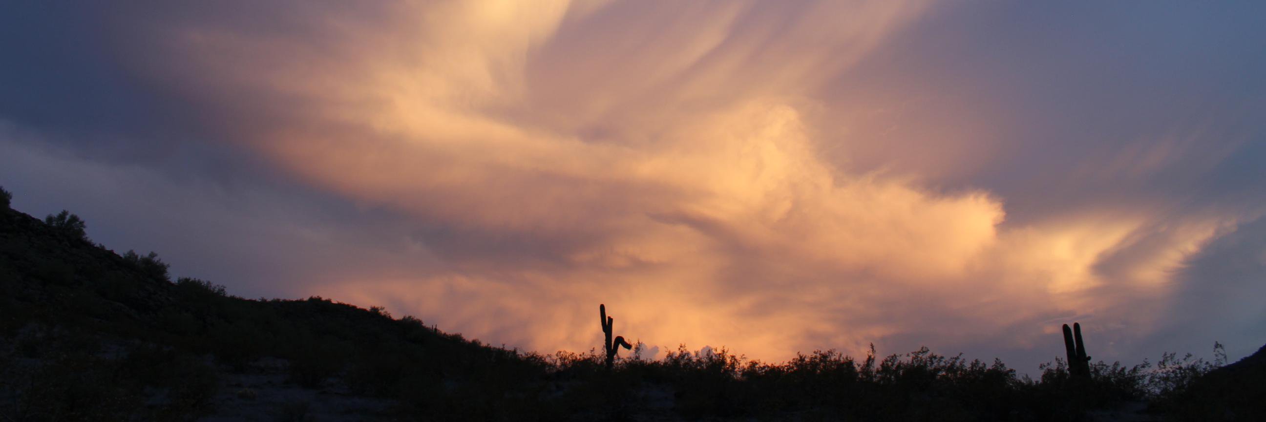 LizSkeens's profile banner image
