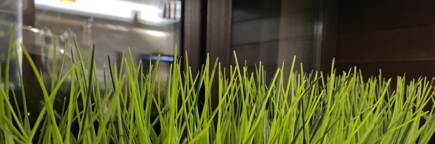 LLlkoJla's profile banner image