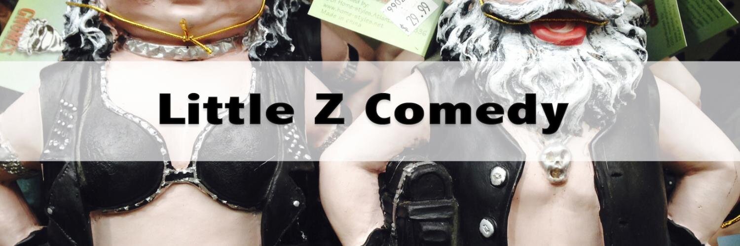 LittleZComedy's profile banner image