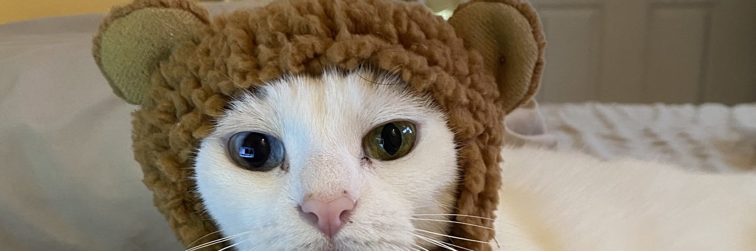 dollfarts's profile banner image