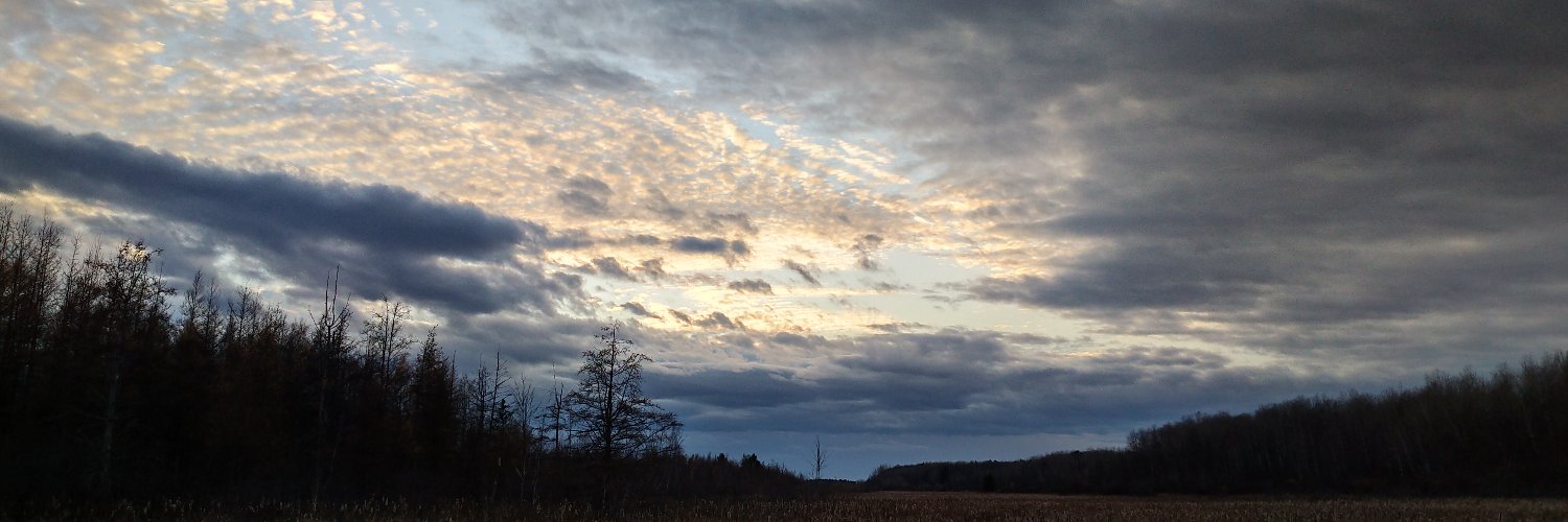 Sinisa Catic 🍁 banner