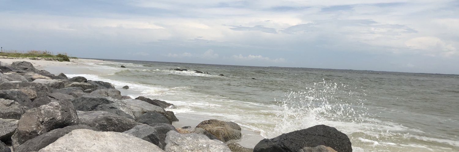 Brooke Commander banner