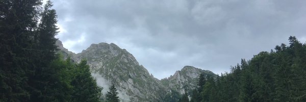 tinytorchic Profile Banner