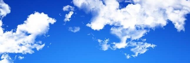 Fundació Silvestra Moreno banner