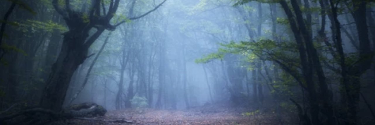jvhnstvne's profile banner image