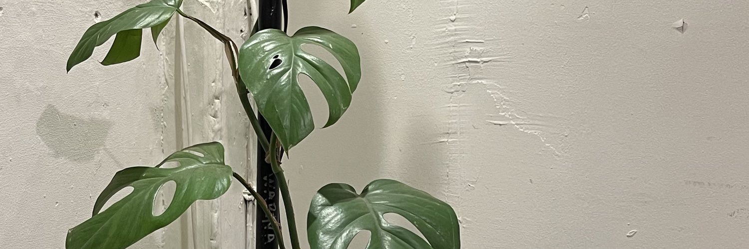 𝐸𝓇𝓋𝒾𝓃𝒶 𝑀𝓊𝓈𝓉𝒾𝓀𝒶 𝑅𝒾𝓃𝒾 banner