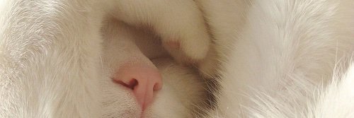 Chai🩰 banner