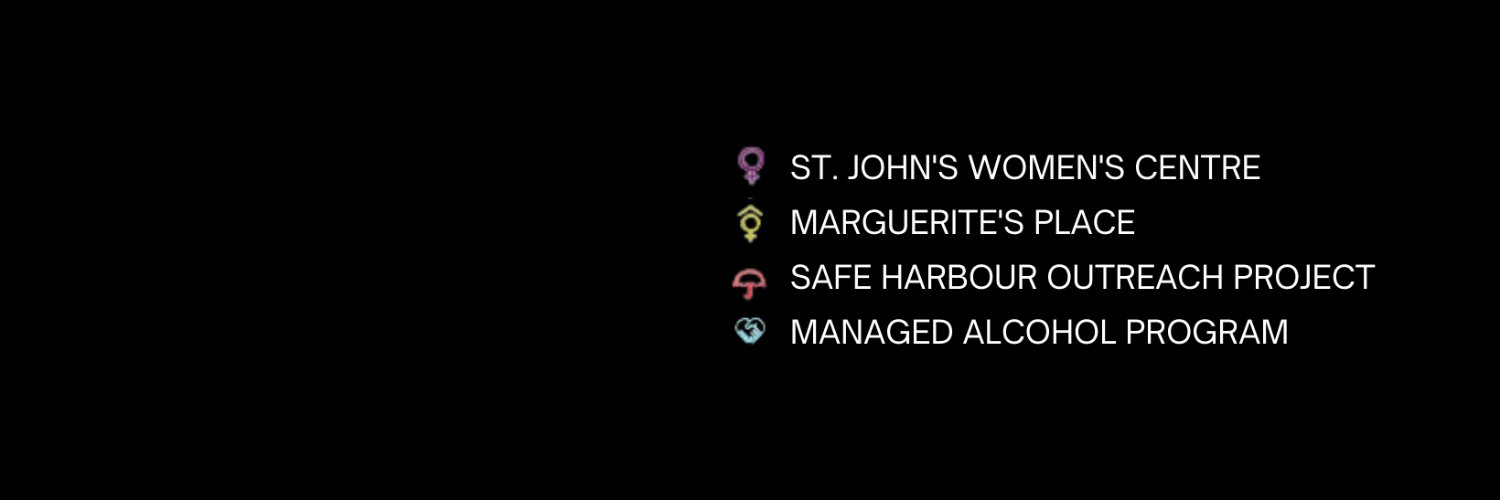 St. John's Status of Women Council banner