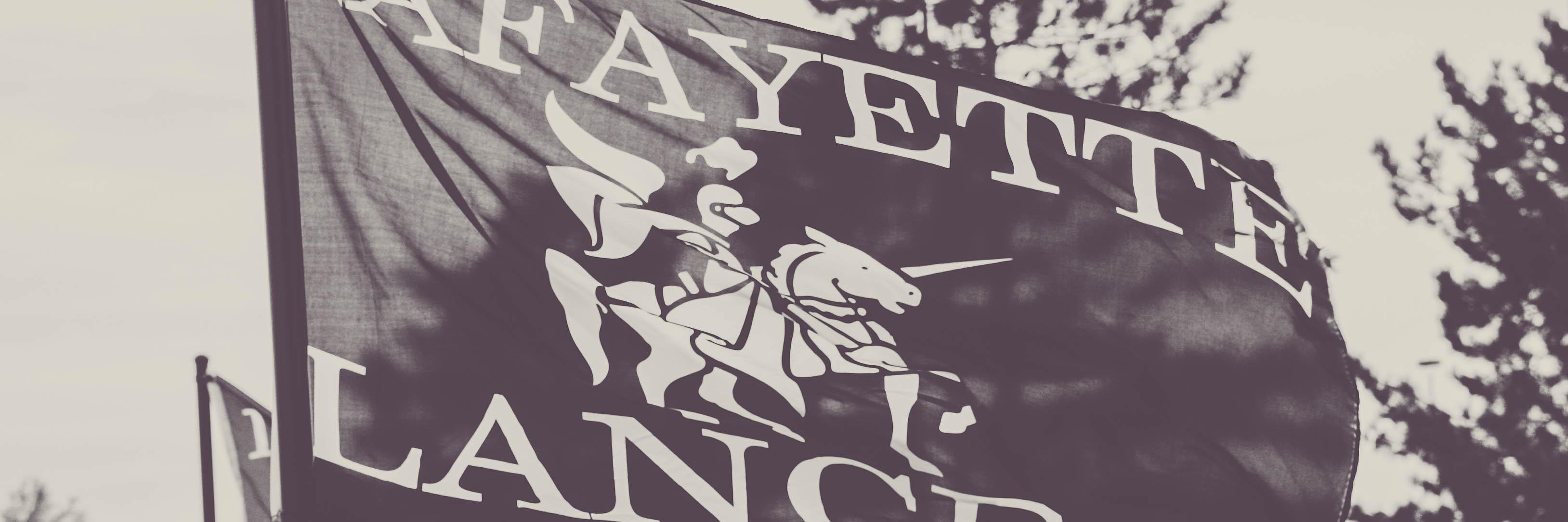 MrsLandyLancer's profile banner image