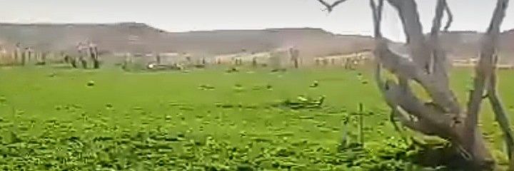 mefrah10's profile banner image