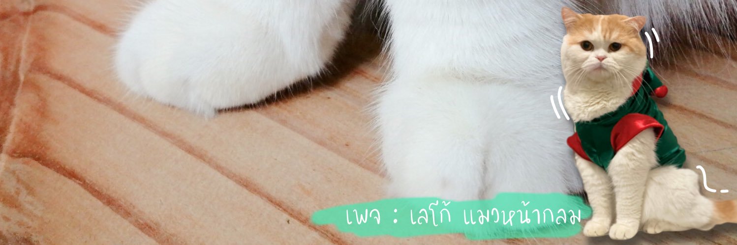 GulfGot's profile banner image