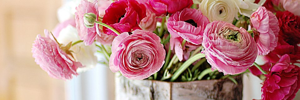 Divya Mahapatra banner