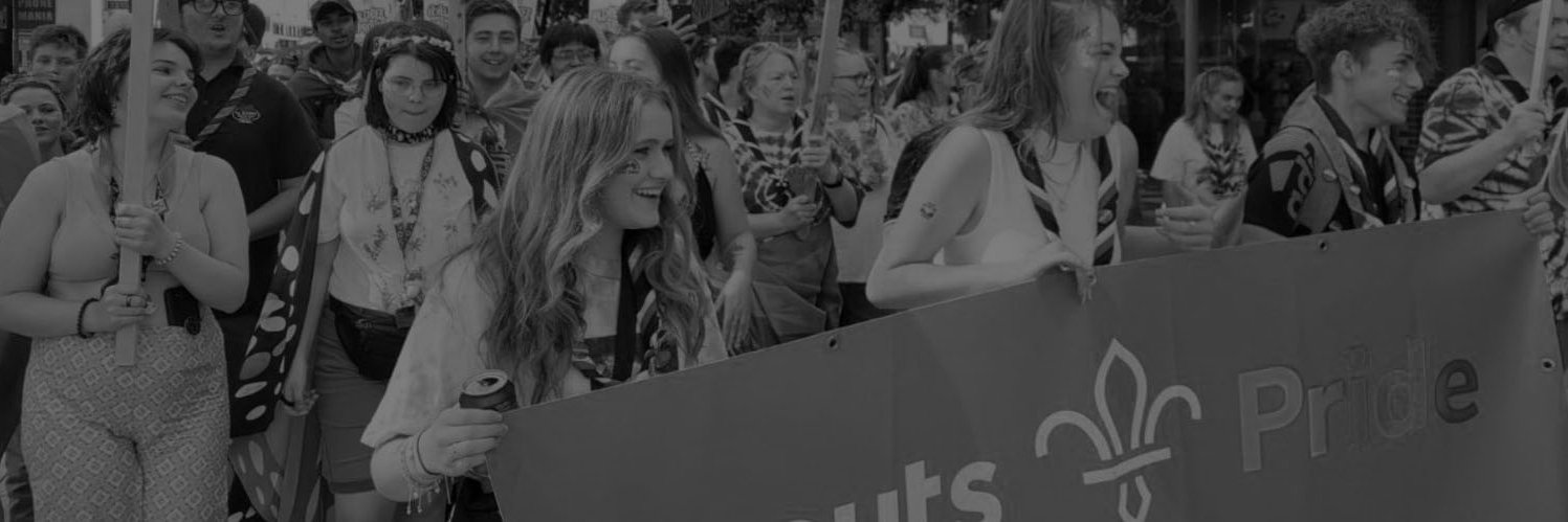 Cardiff and Vale Scouts banner