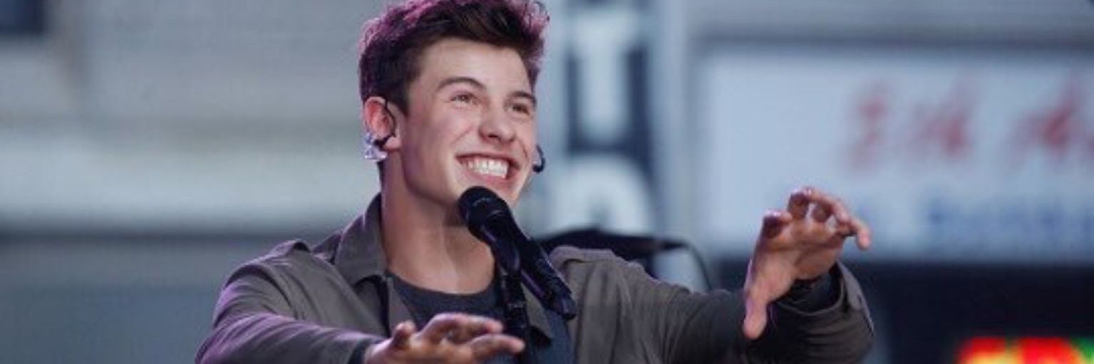 BeLikeMendes's profile banner image