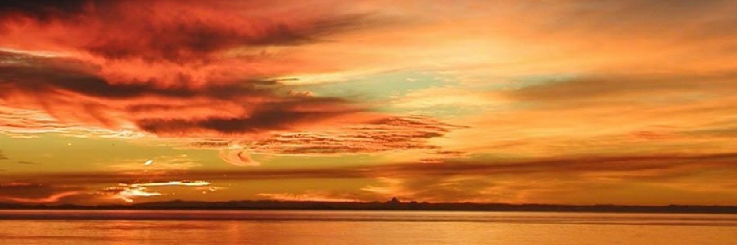 SusanF95's profile banner image