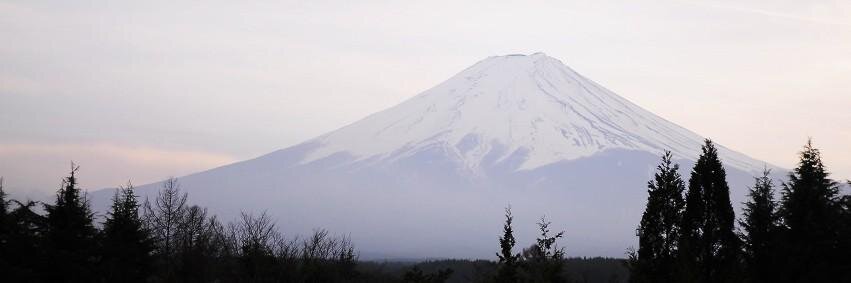 shion1939's profile banner image