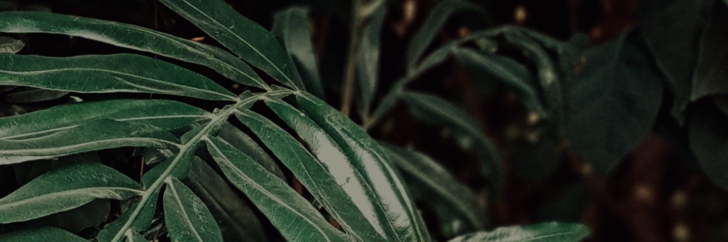 Natalieomolo's profile banner image