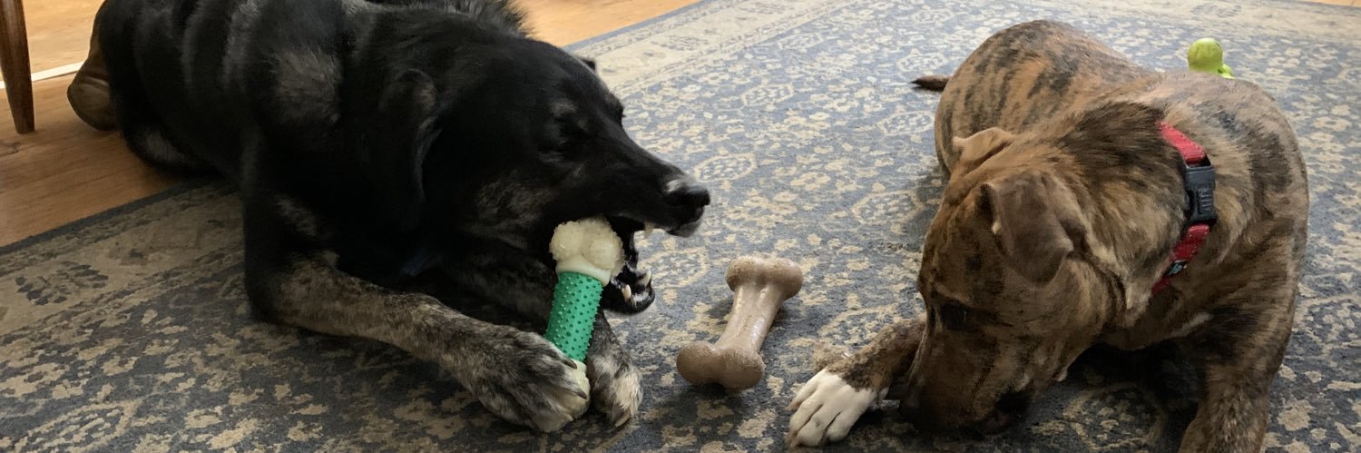 BillyTheKid032's profile banner image