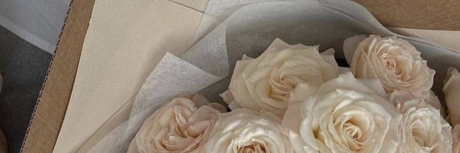 jordanfalink's profile banner image