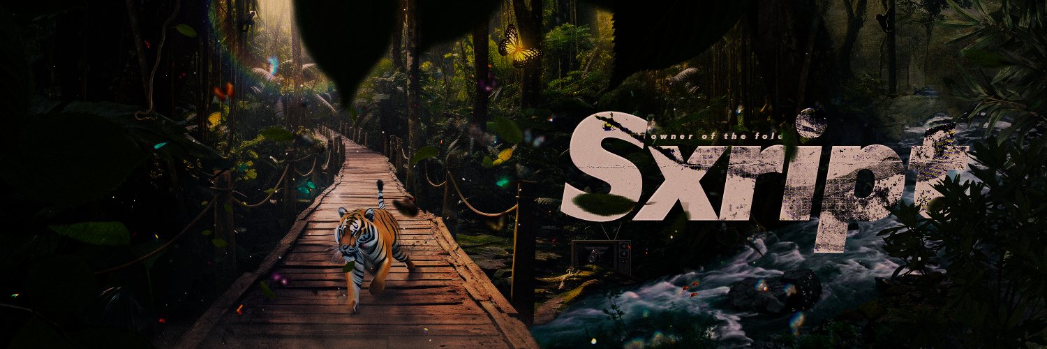 Sxript banner