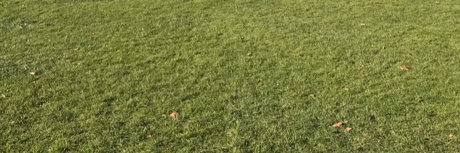 OiPahan's profile banner image