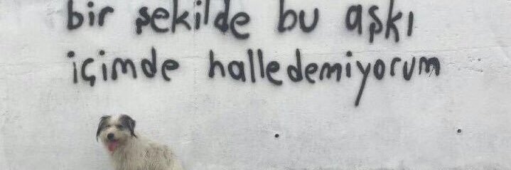 asligokcedogan's profile banner image
