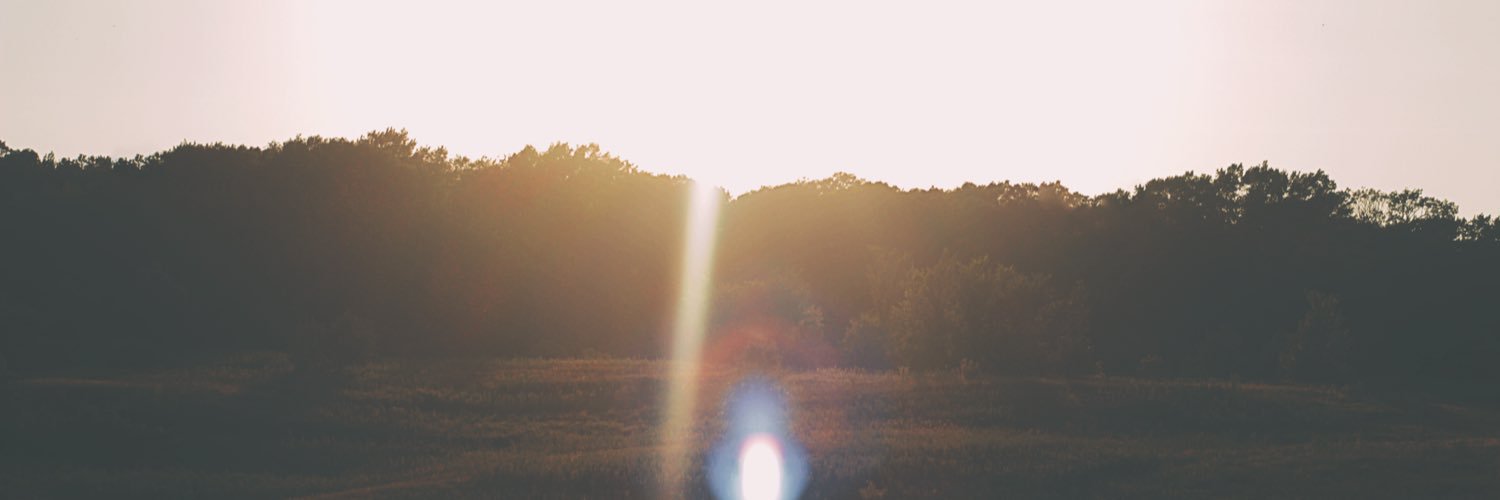 Lens_face's profile banner image