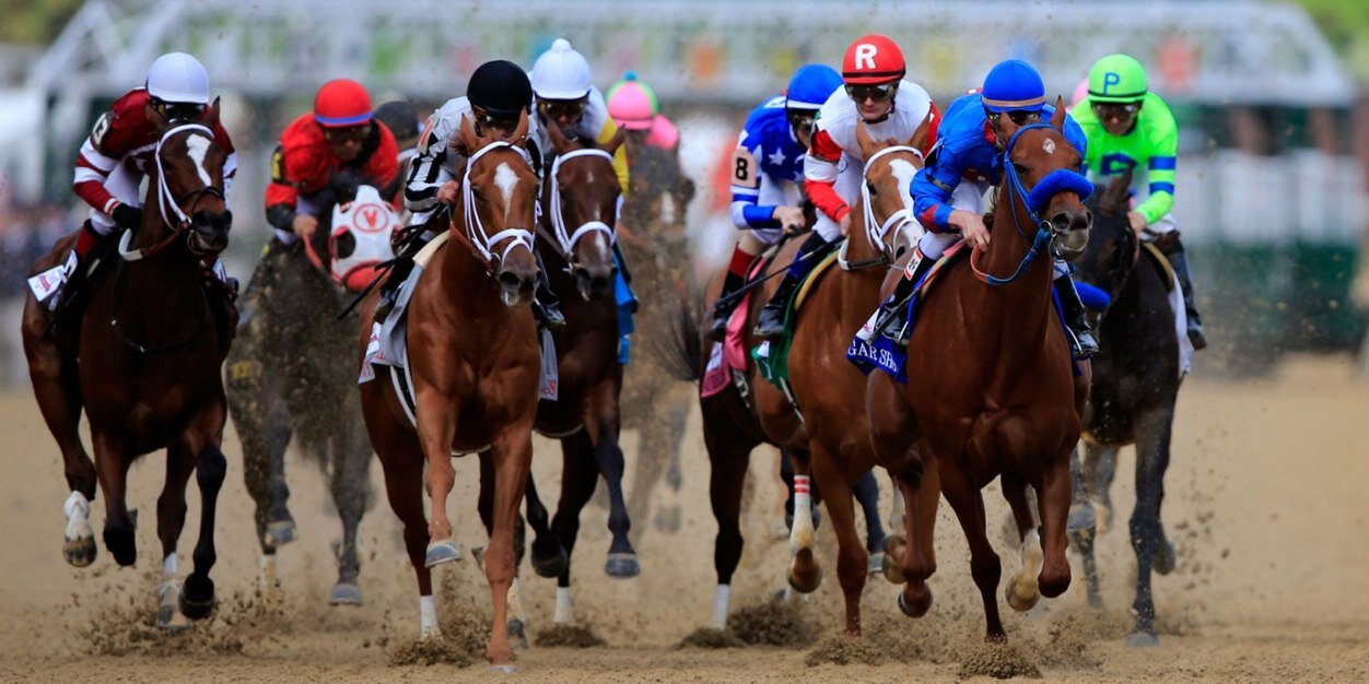LoneStarThoroughbred banner