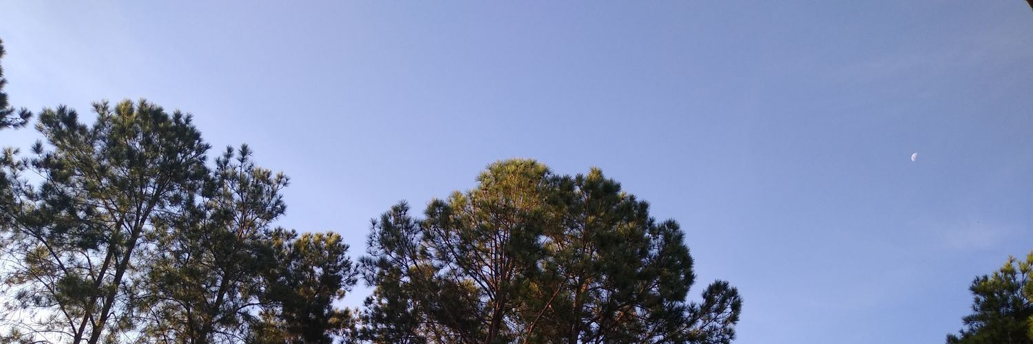 JessikaArduino's profile banner image