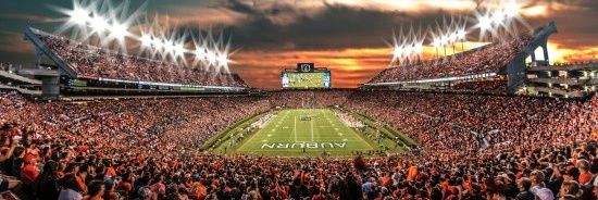 WDavid24's profile banner image