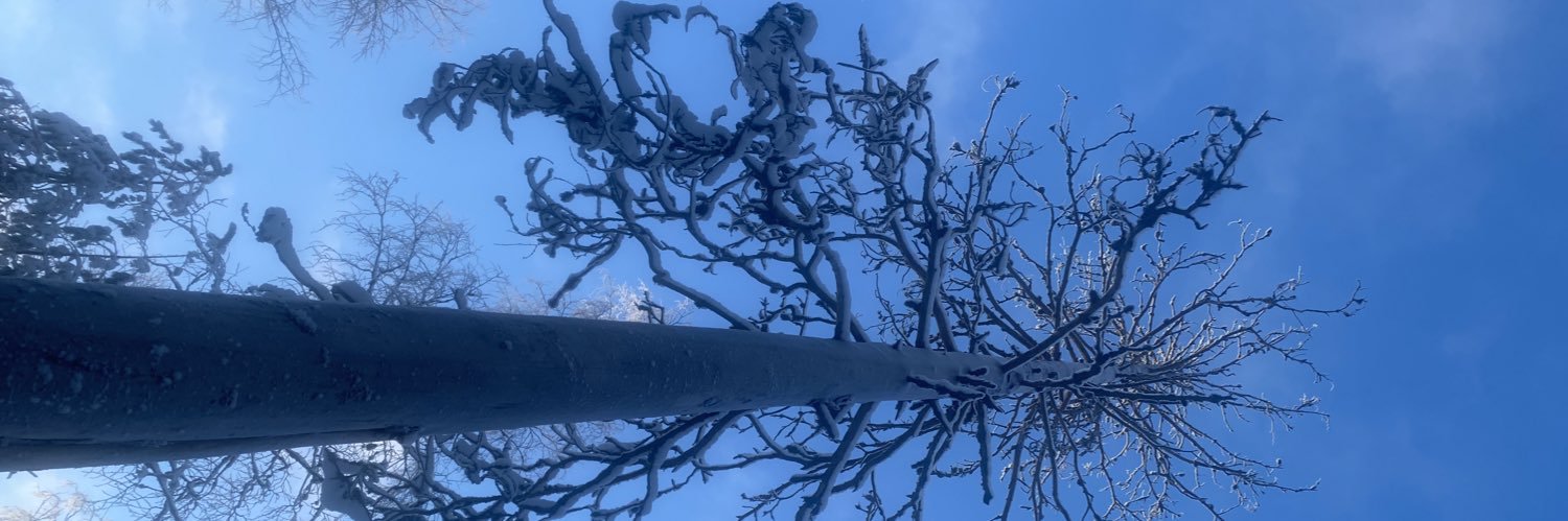gebrelai's profile banner image