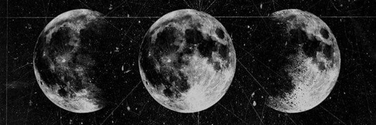 an_delmar_'s profile banner image
