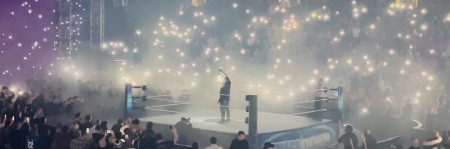 PandaCeptions banner