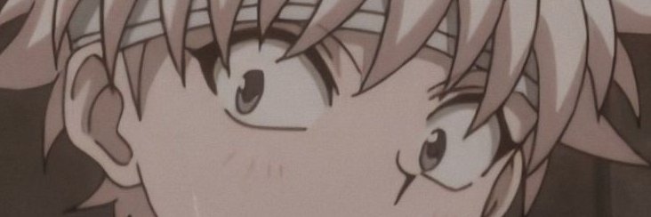 Shitkage banner