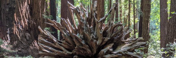 aaryte Profile Banner