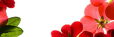 OMaxInvestments's profile banner image