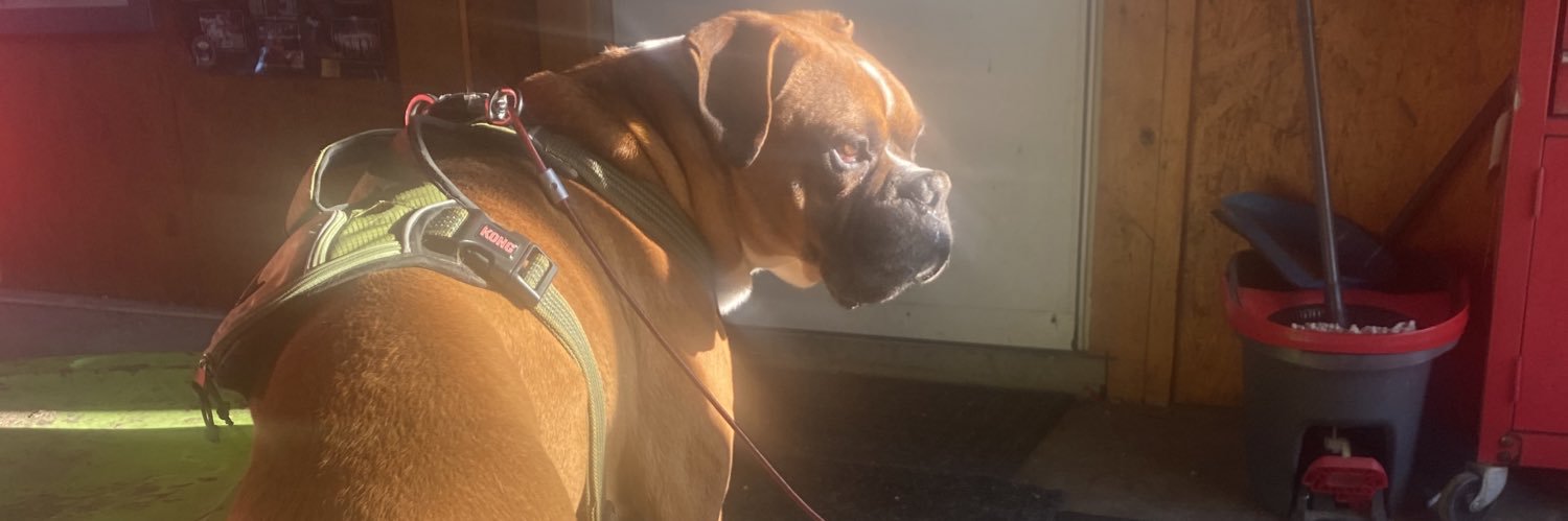 RG : DayDayK9 banner