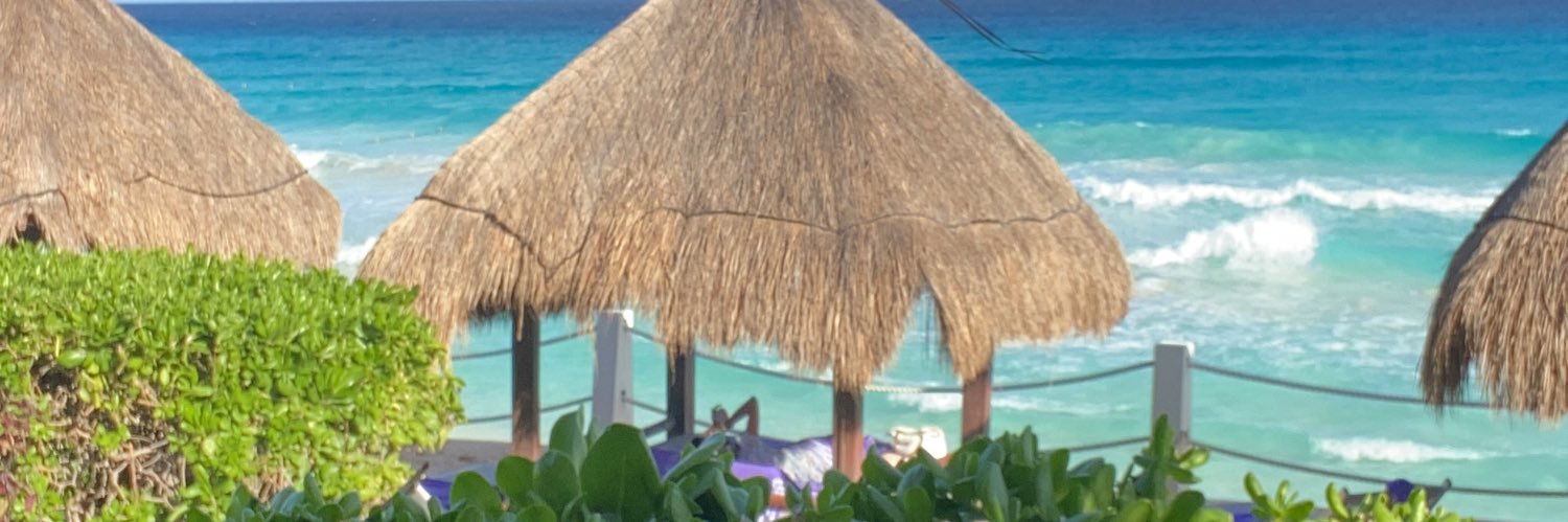 sjwolfenson's profile banner image