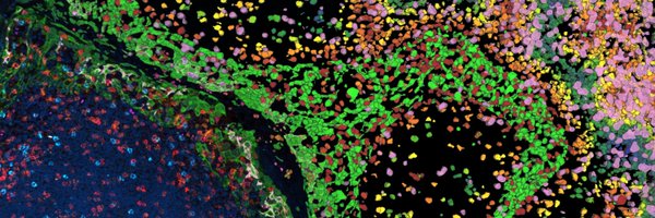 LeicaMicro Profile Banner