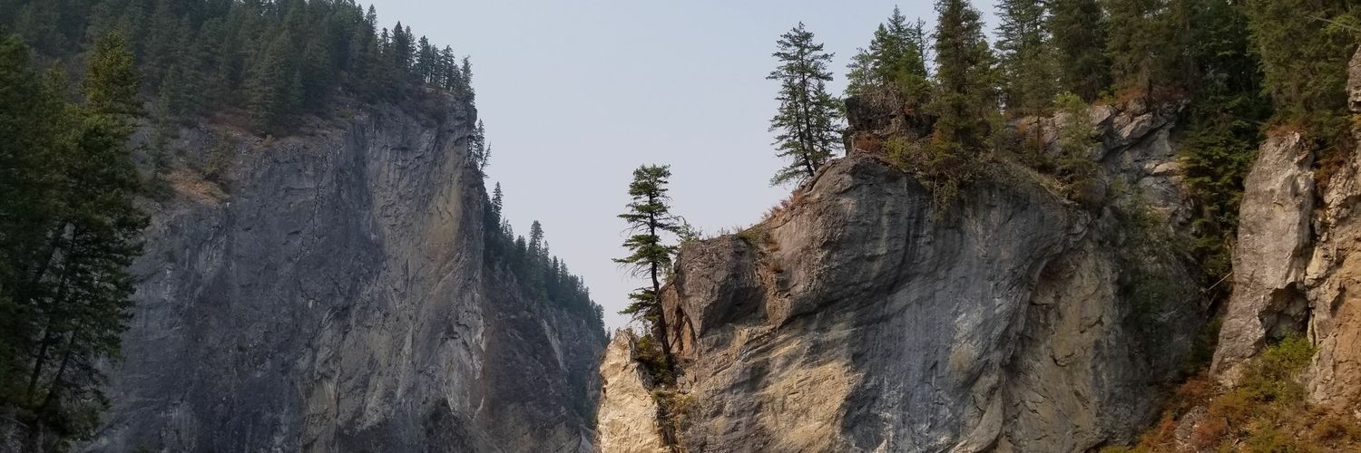natereed10's profile banner image