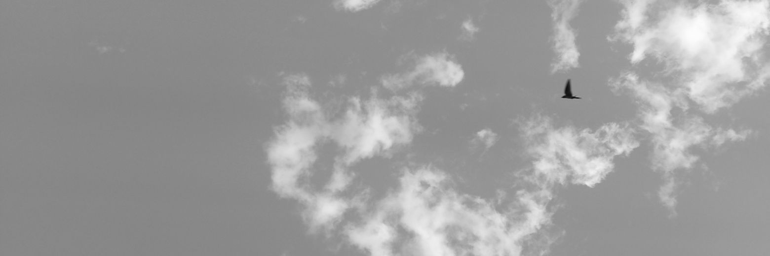 Junsssss_'s profile banner image