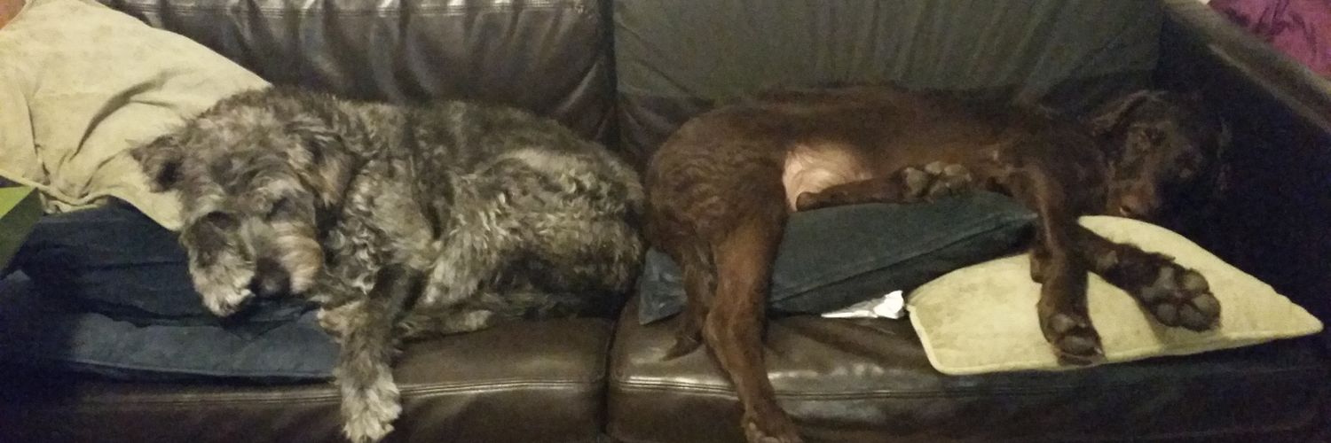 ImCalling((Mama))🌻 banner