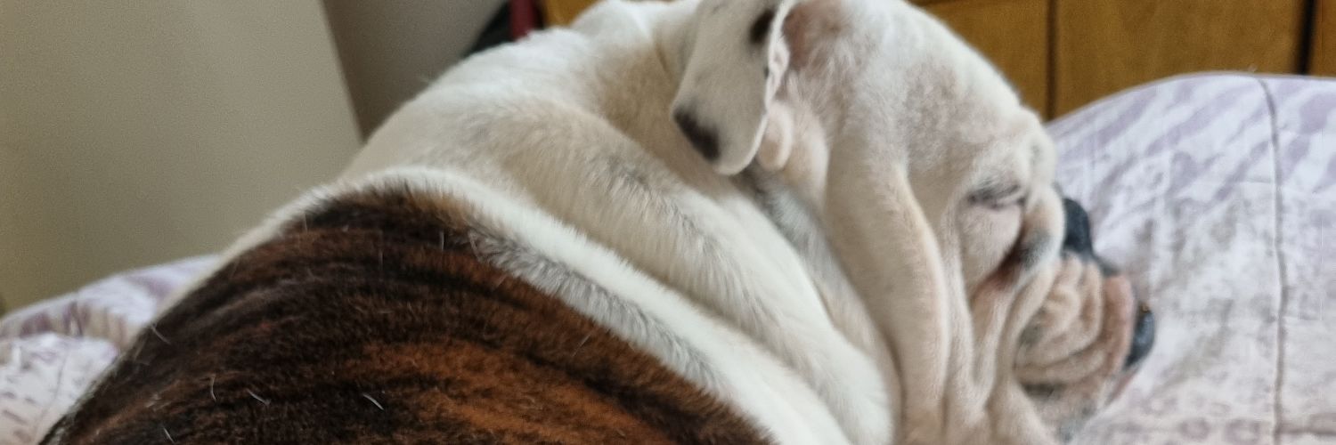 JuanmaOlguinn's profile banner image