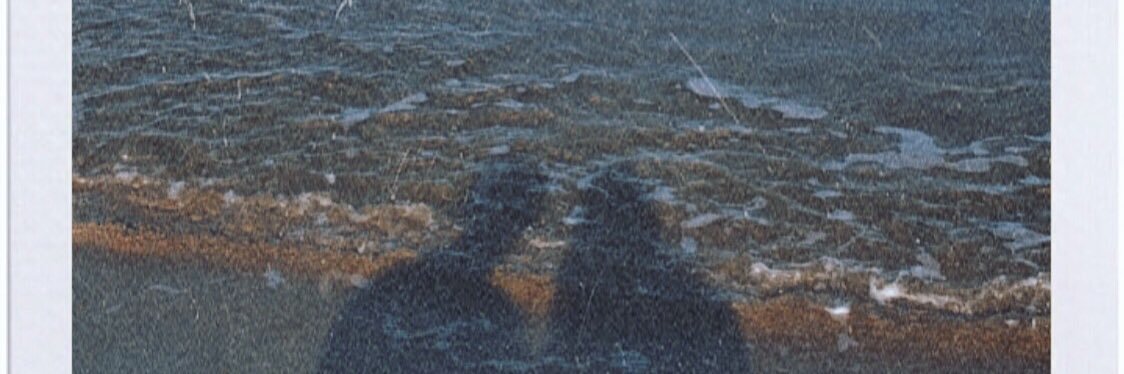 saruuuccia's profile banner image