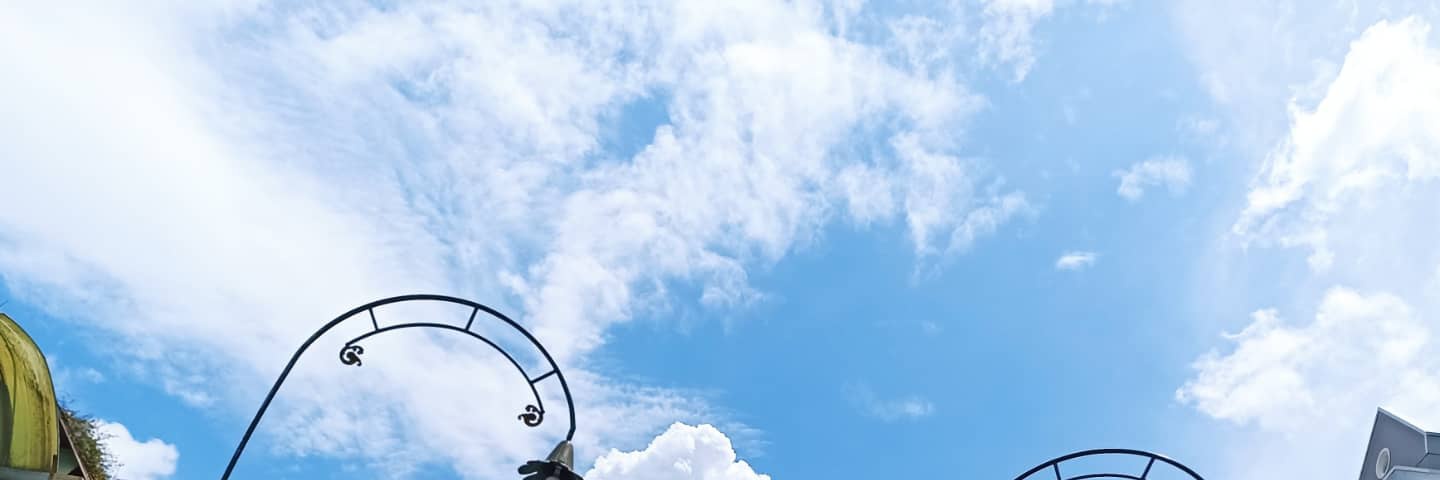 AllRiSeBerrie's profile banner image