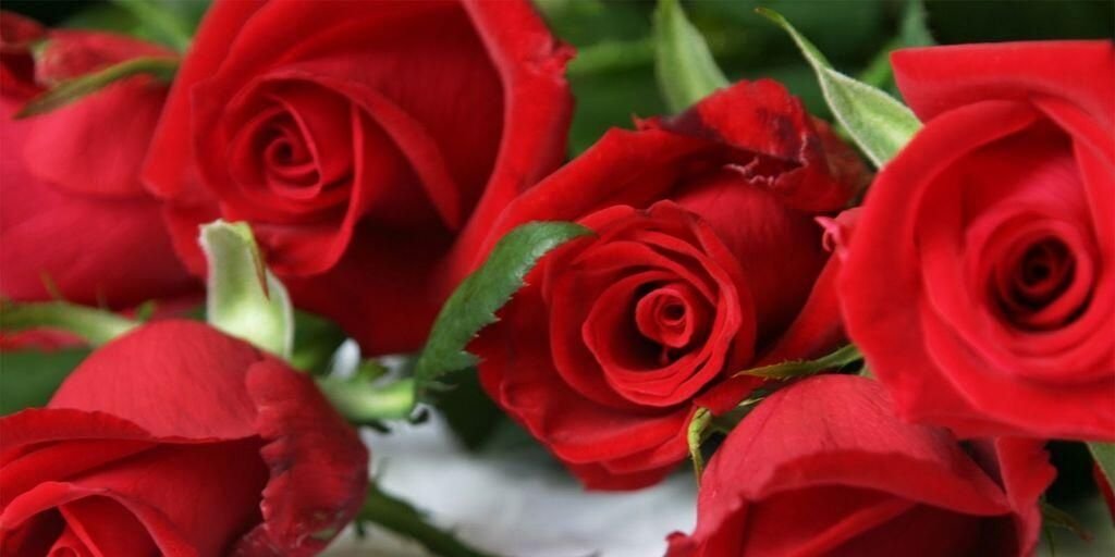 _tur__7's profile banner image